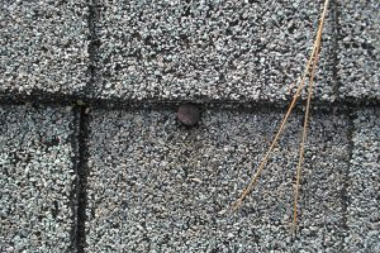 Roof Leak Detection Birmingham, AL Roof Leak Repair, Roofing